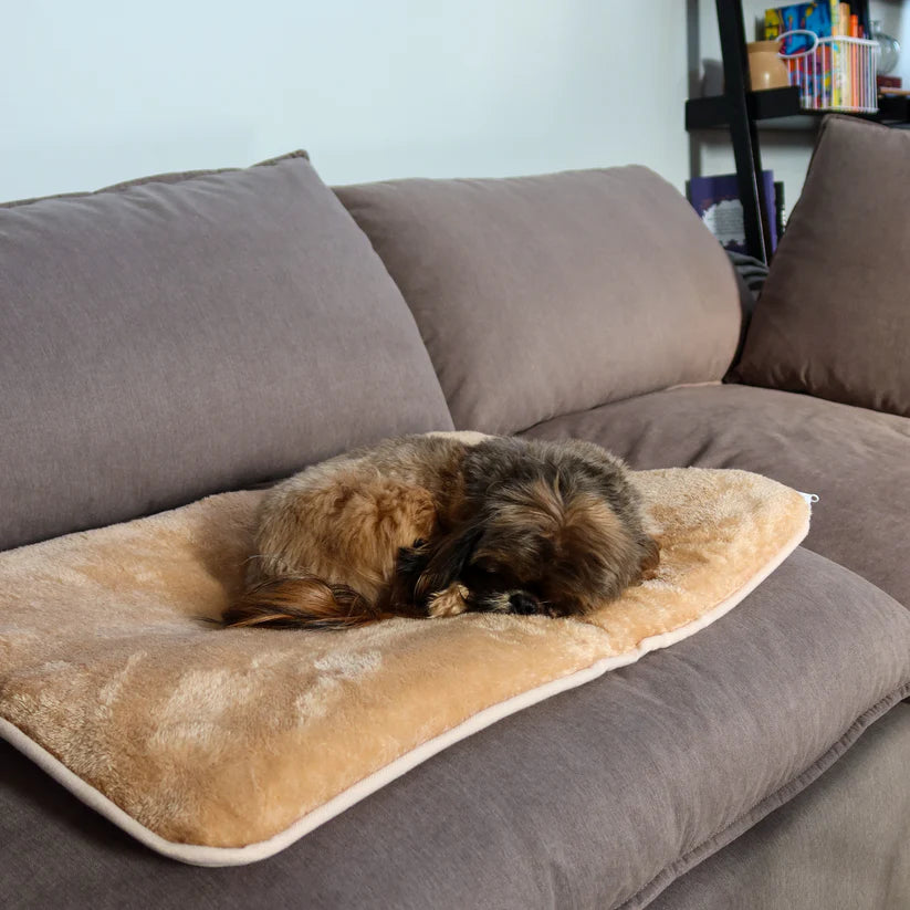 Crazy Warm Pet Bed